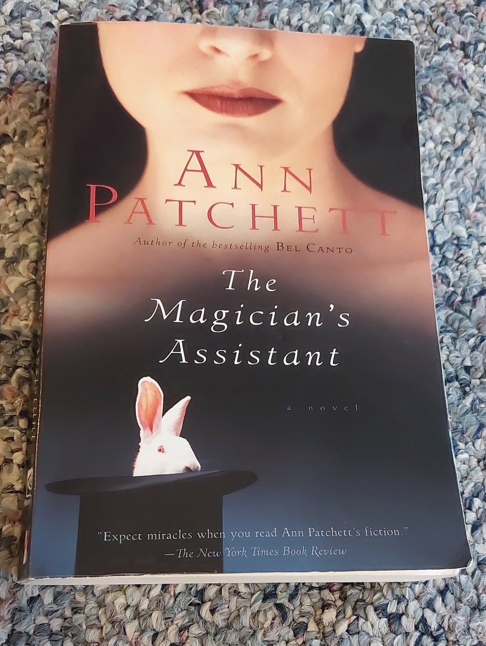 😮 3/$10! The Magician's Assistant Book